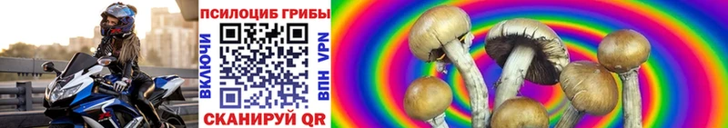Купить  Короча  Галлюциногенные грибы мухоморы 
